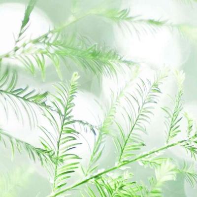 魔导士之战游戏下载